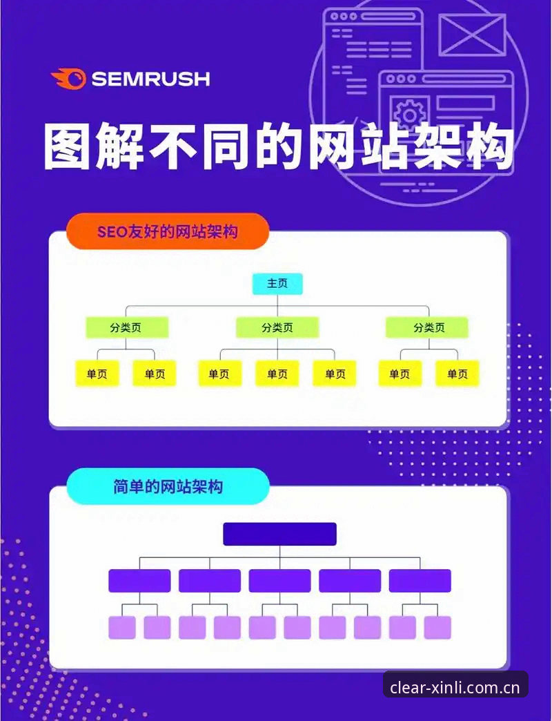 新利体育官网信息架构全面解析：从清晰入口到高效访问的路径优化